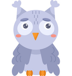 Owl Baby Bird