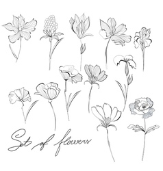 flower sketch vector images over 45 000