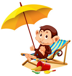 Happy Monkey Sitting Under Umbrella