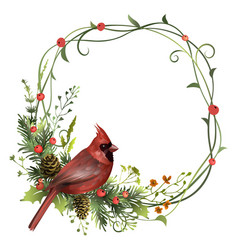 Plant Frame With Red Cardinal Bird Pine Branches