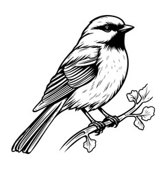 Cute Bird Hand Drawn Sketch