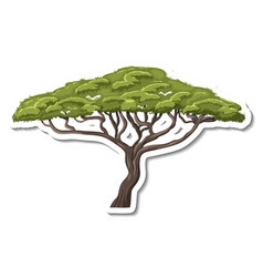 Isolated Monkey Pod Tree In Cartoon Style