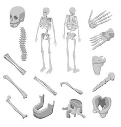 Skeleton Icons Set Isometric Style