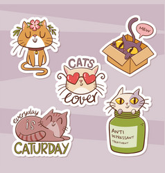 Hand-drawn Cats Sticker Collection