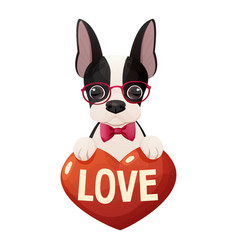 Cute Boston Terrier Dog With Heart Text Love