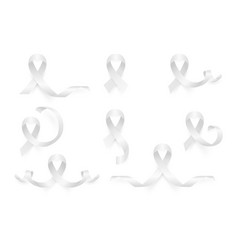 3d Realistic Clear White Ribbon Set Lung