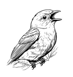 Cute Singing Bird Hand Drawn Sketch