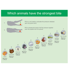 Which Animals Have Strongest Bite Jaw