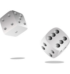 Dice