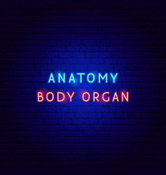 Anatomy Body Neon Text