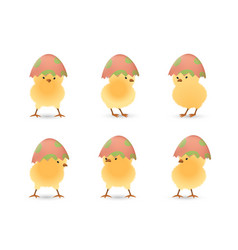 Chicks In Broken Leaf Easter Eggs Top Set