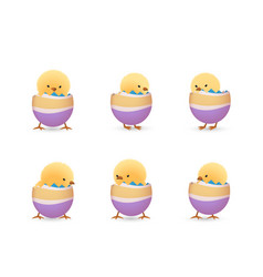 Chicks In Broken Rainbow Easter Eggs Bottom Set