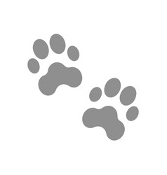 Paws Icon Isolated On White Background Animals