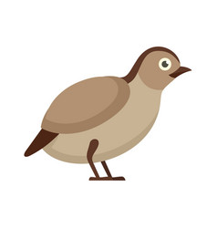 Quail Wild Icon Flat Isolated