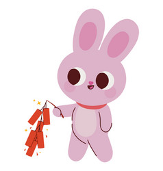 Happy Pink Rabbit