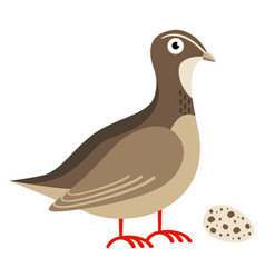 Quail Bird With Egg Cartoon Animal Wild Poultry