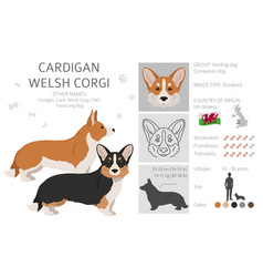 Welsh Corgi Cardigan Clipart Different Poses Coat