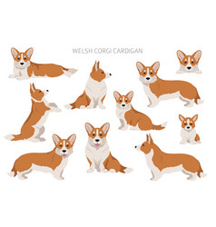 Welsh Corgi Cardigan Clipart Different Poses Coat