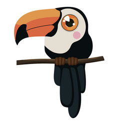 Cute Toucan Design