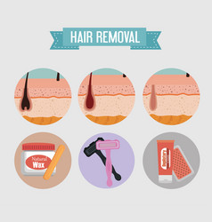 Layers Skin Structure With Hair Removal Icons