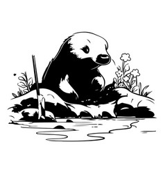 Cute Otter On A Rock In The River