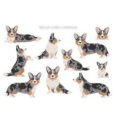 Welsh Corgi Cardigan Clipart Different Poses Coat