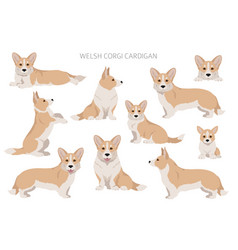 Welsh Corgi Cardigan Clipart Different Poses Coat