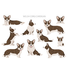 Welsh Corgi Cardigan Clipart Different Poses Coat