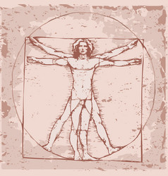 Vinci Icon Vetruvian Man Human Body