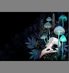 Bird Skull With Mushrooms