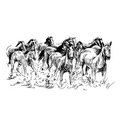 Hand Sketch Herd Of Horses