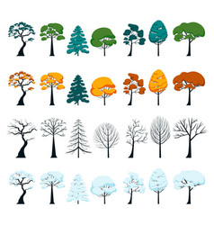 Set Of Trees In Different Seasons Four