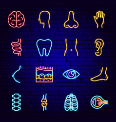 Body Organs Neon Icons