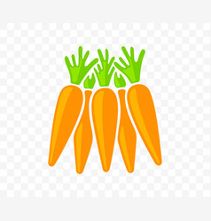 Carrots Vegetable Agriculture Food And Meal