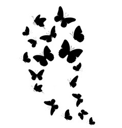 Flock Of Silhouette Black Butterflies On White