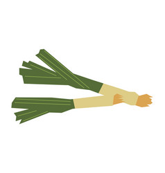 Welsh Onion Icon Green Japanese Leek Plant