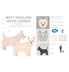 West Highland White Terrier Clipart Different