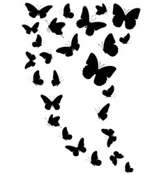 Flock Of Silhouette Black Butterflies On White