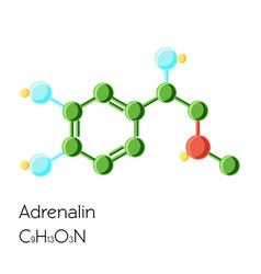 Adrenalin Adrenaline Epinephrine Hormone