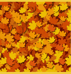 Autumn Foliage Background A Large Amount