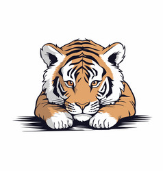 A Tiger On White Background