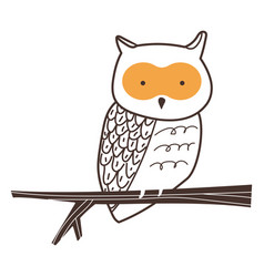 Owl Bird Cartoon Owl