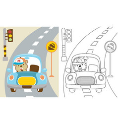 Cartoon Of Funny Monkey Driving Car In The Road