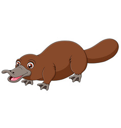 Cute Platypus Cartoon