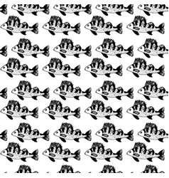 Seamless Black Pattern Of Ruff Fish