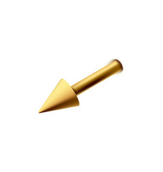 Golden Piercing Jewelry With Spike Or Cone