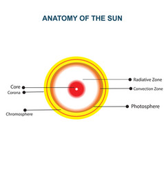 Of Diagram Of Sun