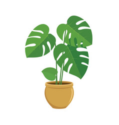 Houseplant Monstera Deliciosa Icon