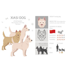 Xiasi Dog Clipart All Coat Colors Set All Dog