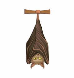 Bat Sleep Hanging On Tree Character